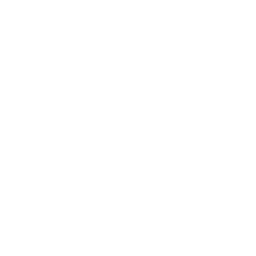 社内SE（情報システム担当）