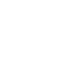 車